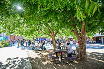 Students gathering in the courtyard on opening day.