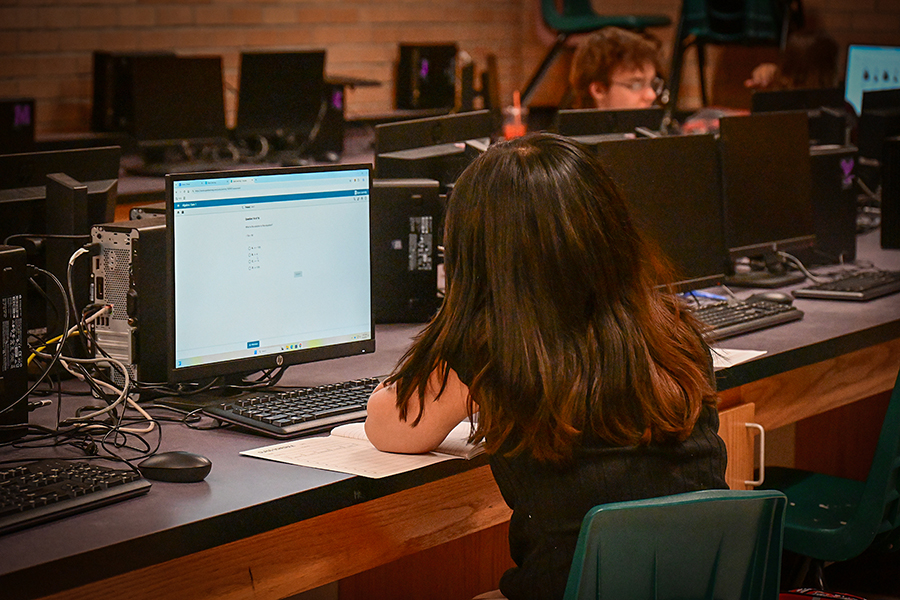 A girl works at a computer